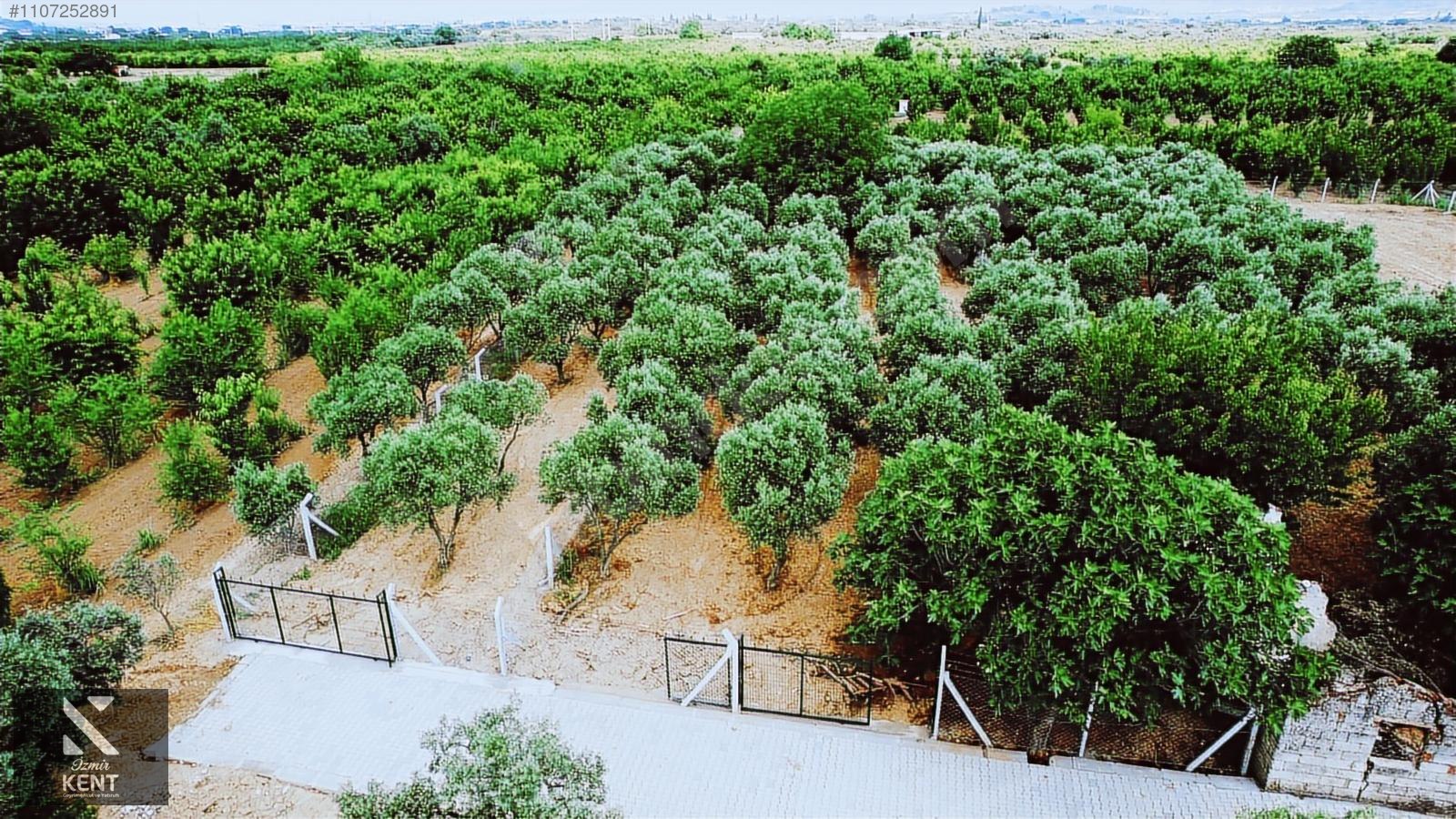 Kemalpaşa Aşağıkızılca Satılık Bahçe Tek Tapu 881 m2 - İZMİR KEMALPAŞA fotoğraf 19