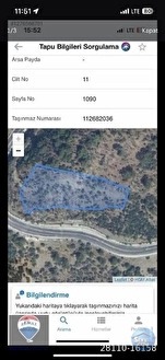 Milas Kızılcayıkık’ta Yol Cepheli 5.221 m² Manzaralı Zeytinlik - MUĞLA MİLAS fotoğraf 4