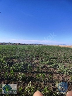 Çanakkale Biga Gerlengeç Köyünde Satılık Tarla - ÇANAKKALE BİGA fotoğraf 16