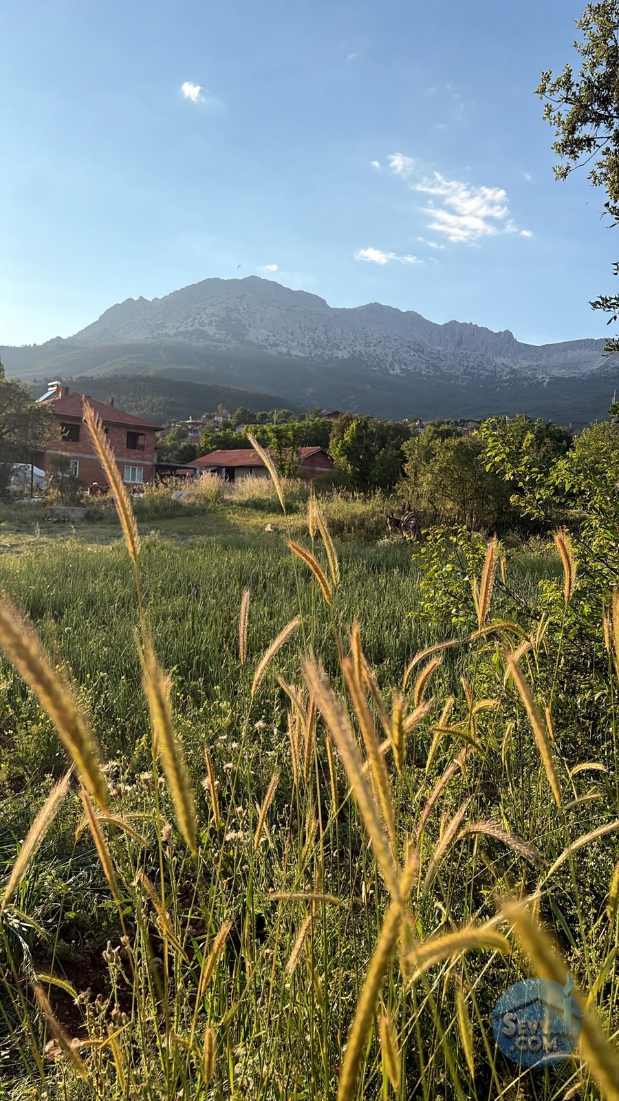 AĞLASUN YAZIR KÖYÜNDE KÖY YERLEŞKE ALANI İÇİNDE SATILIK ARAZİ - Burdur Ağlasun fotoğraf 4