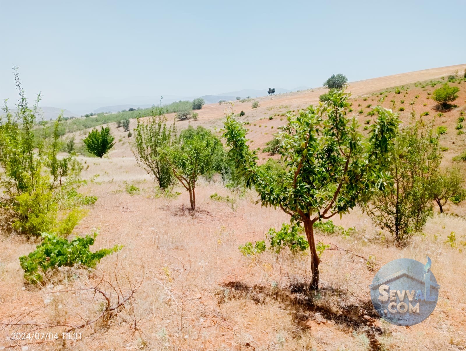 KARAMAN MERKEZ MURATDEDE KÖYÜNDE 3.472 M² BAĞ SATILIKTIR - Karaman Merkez fotoğraf 10