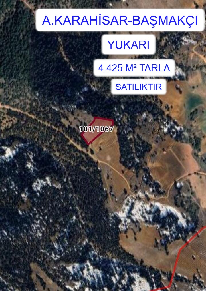 AFYONKARAHİSAR BAŞMAKÇI YUKARI MAH. 4.425M² TARLA SATILIK - AFYONKARAHİSAR BAŞMAKÇI fotoğraf 2