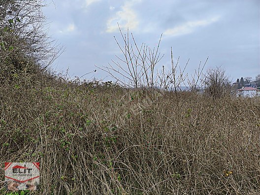 Fiyat düştü Karasu Taşlıgeçit'te 329m² Satılık Konut İmarlı Arsa - SAKARYA KARASU fotoğraf 45