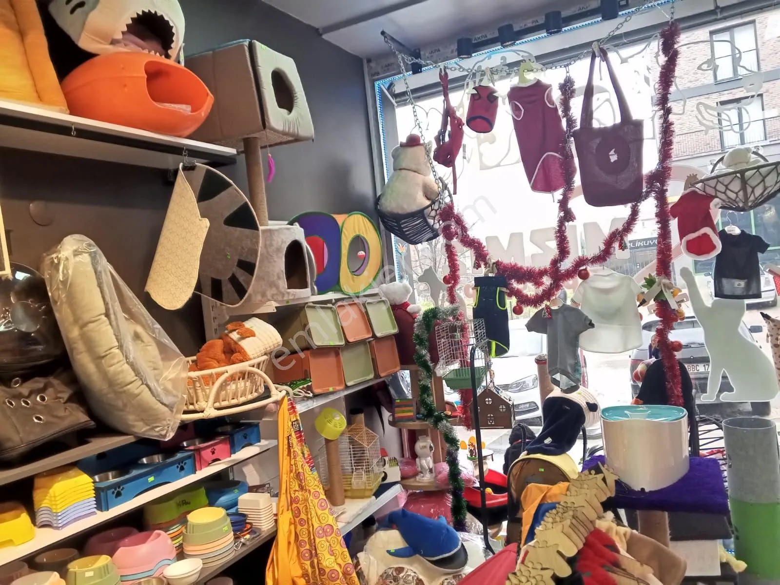 Devren Satılık Yüksek Cirolu Petshop - KOCAELİ KÖRFEZ fotoğraf 22