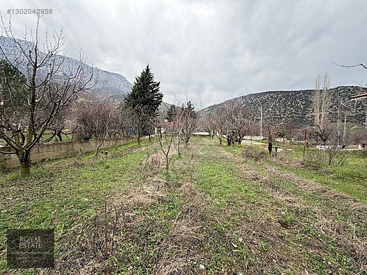 ROYAL EMLAKTAN FİLİNGİRLER MEVKİNDE YOL KENARI BAHÇE - AMASYA MERKEZ fotoğraf 8