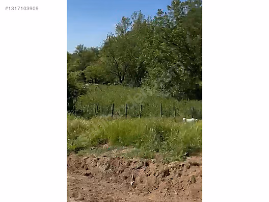 ÇANAKKALE BAYRAMİÇ SERHAT KÖYÜ 526 m2 % 80 İMARLI ARSA - ÇANAKKALE BAYRAMİÇ fotoğraf 28