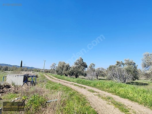HAVRAN MESCİT MAHALLESİ OTOYOLA YAKIN 10 DÖNÜM SATIILIK ZEYTİNLİ - BALIKESİR HAVRAN fotoğraf 31