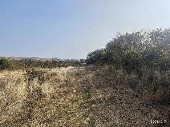 SÜLEYMANDANIŞMENT KÖYÜNDE 1326 M2 BAĞ TAPU YATIRIMLIK ARAZİ - EDİRNE LALAPAŞA fotoğraf 10