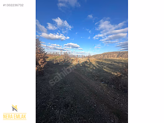 HORZUMKESERLER-İZMİR SARISU'YA YAKIN KADASTRO YOLLU 2.138m2 - MANİSA ALAŞEHİR fotoğraf 13