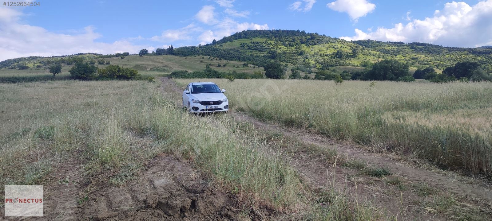 KIZDERBENT MAHALLESİNDE RESMİ YOLLU 2293 M2 SATILIK TARLA - KOCAELİ KARAMÜRSEL fotoğraf 8