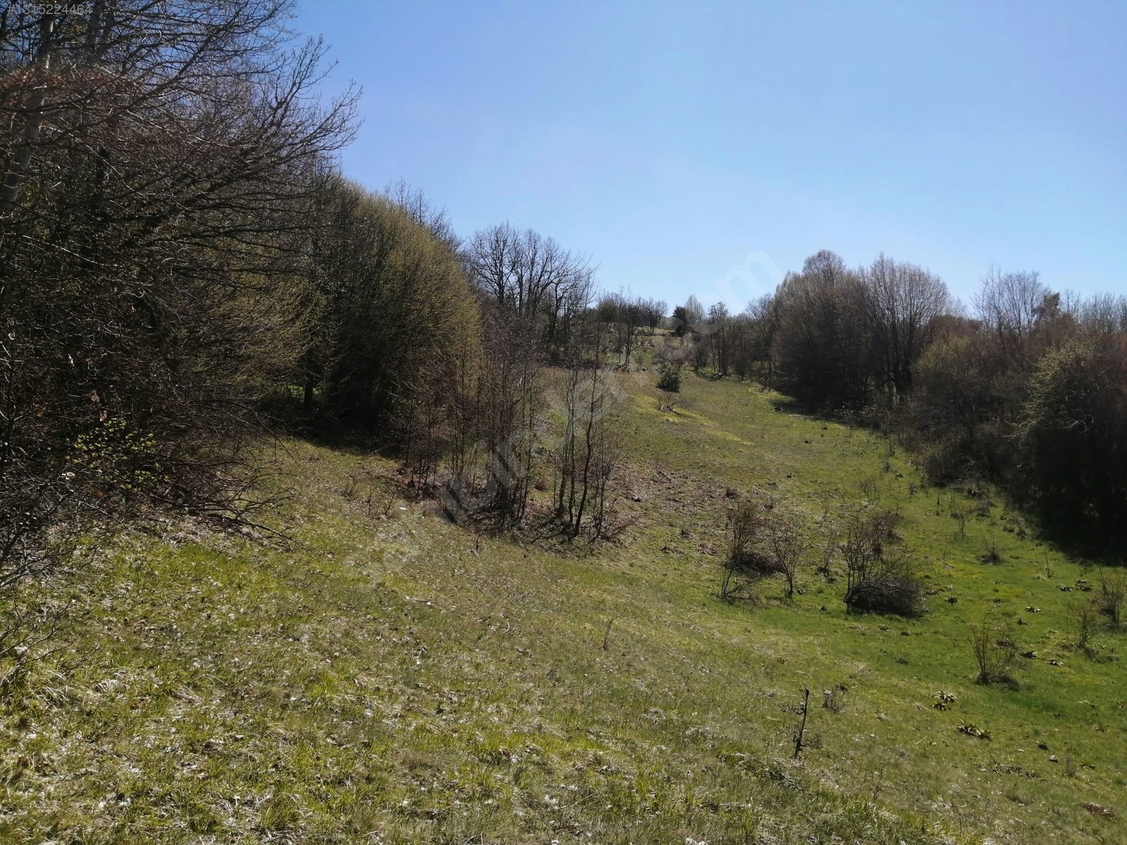 TAŞKESTİ EMLAKTAN DEREKÖY'DE 3448 M2 TARLA - BOLU MUDURNU fotoğraf 2