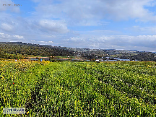 DERİNCE TAHTALI'DA ASFALT CEPHELİ%5 İMARLI 6.827M² ARSA - KOCAELİ DERİNCE fotoğraf 7