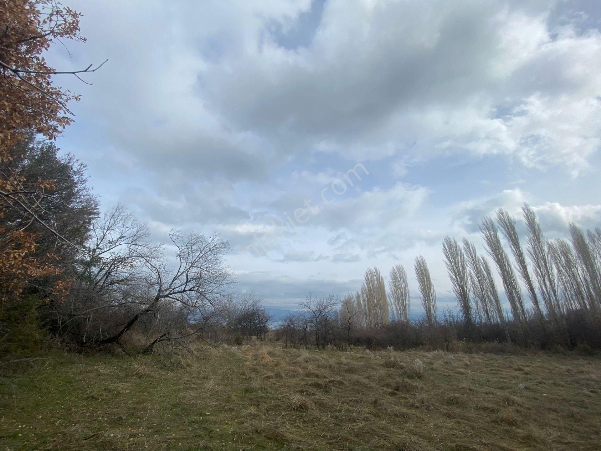 Isparta Eğirdir Bağören Satılık Göl Manzaralı Arazi - ISPARTA EĞİRDİR fotoğraf 4