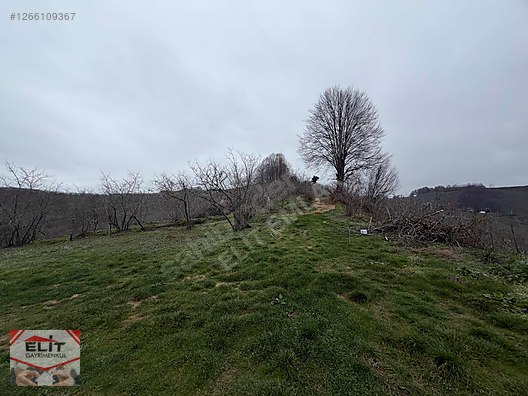 DÜZCE AKÇAKOCA DA EV YAPIMINA UYGUN SATILIK 7.768 M2 FINDIKLIK - DÜZCE AKÇAKOCA fotoğraf 49
