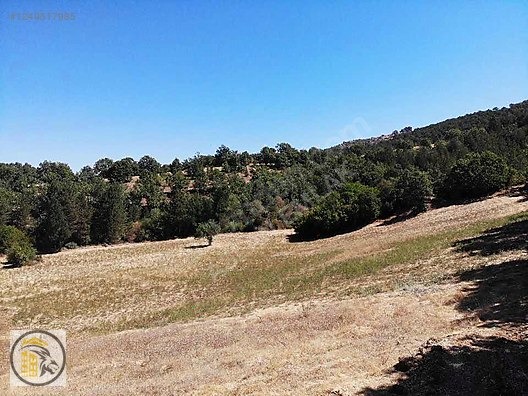 ASLAN EMLAK'TAN SATILIK KÜTAHYA HİSARCIKTA 853 M2 TARLA !!! - KÜTAHYA HİSARCIK fotoğraf 4