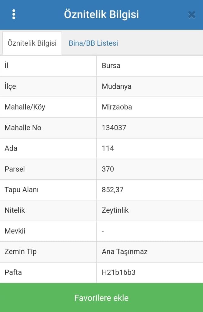 BURSA MUDANYA MİRZAOBA MAH. 852M² ZEYTİNLİK SATILIK - BURSA MUDANYA fotoğraf 6