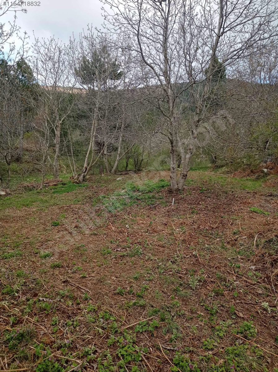 BURSA KELEŞ PINARCIK'TA 1.902 M²  BAHÇELİ KARGIR EV SATILIKTIR - BURSA KELES fotoğraf 14