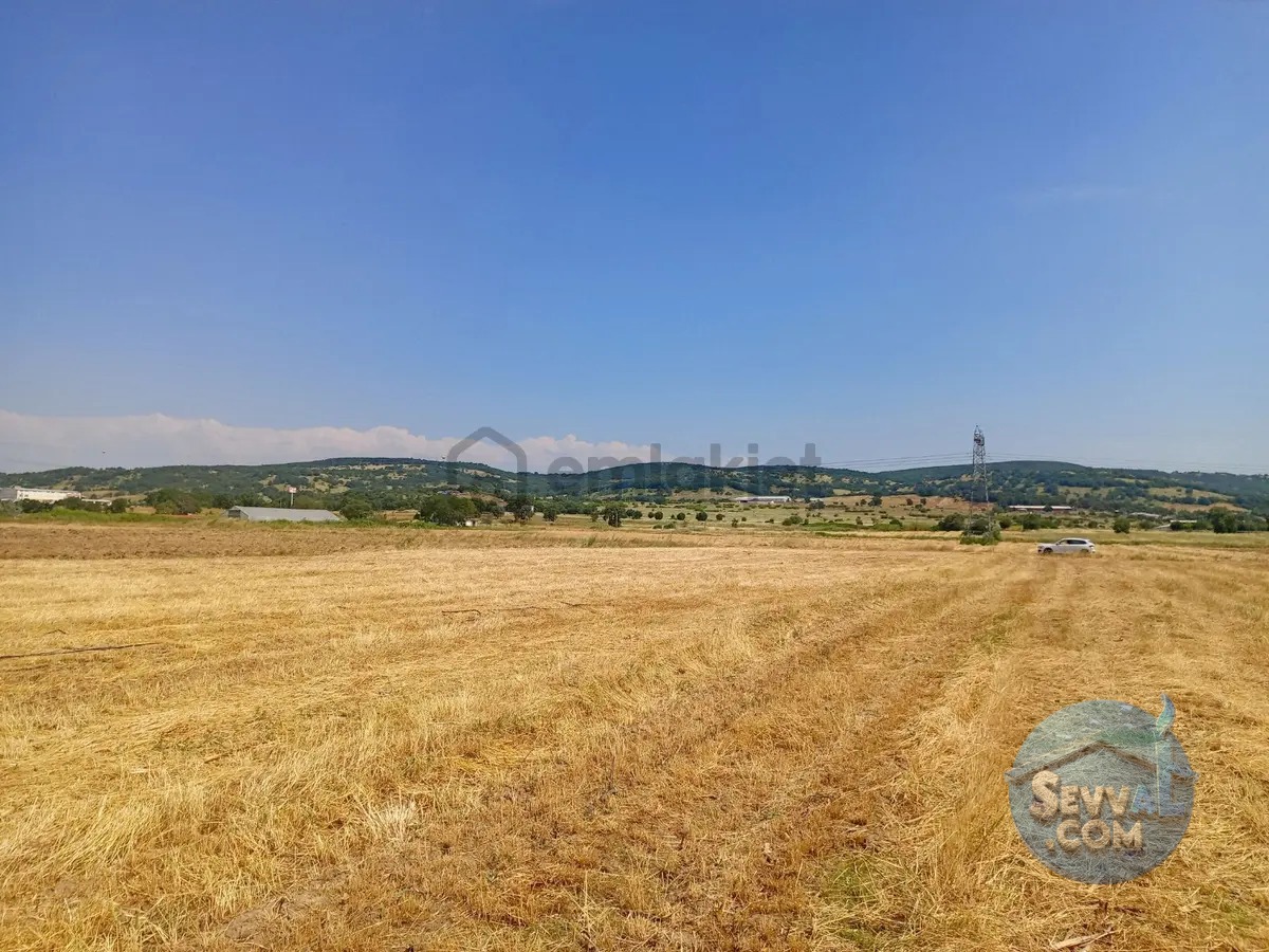 Gökçeyazı Da Kadastro Yolu Mevcut Tarla - BALIKESİR İVRİNDİ fotoğraf 8