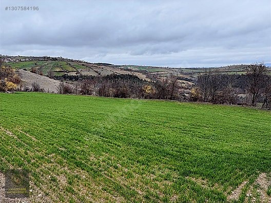 SAMSUN VEZİRKÖPRÜ ÇAMLIDERE'DE 6.670 M2 UYGUN ARSA - SAMSUN VEZİRKÖPRÜ fotoğraf 11