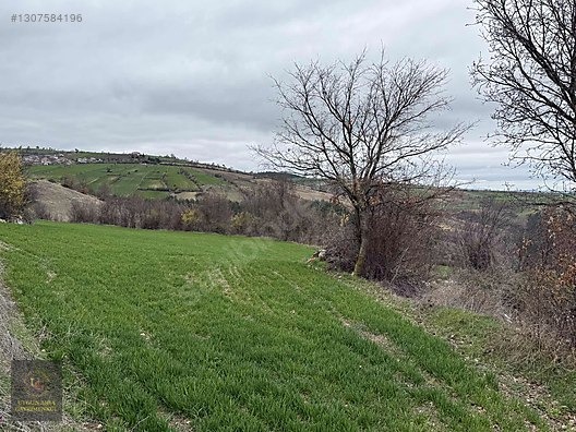 SAMSUN VEZİRKÖPRÜ ÇAMLIDERE'DE 6.670 M2 UYGUN ARSA - SAMSUN VEZİRKÖPRÜ fotoğraf 21