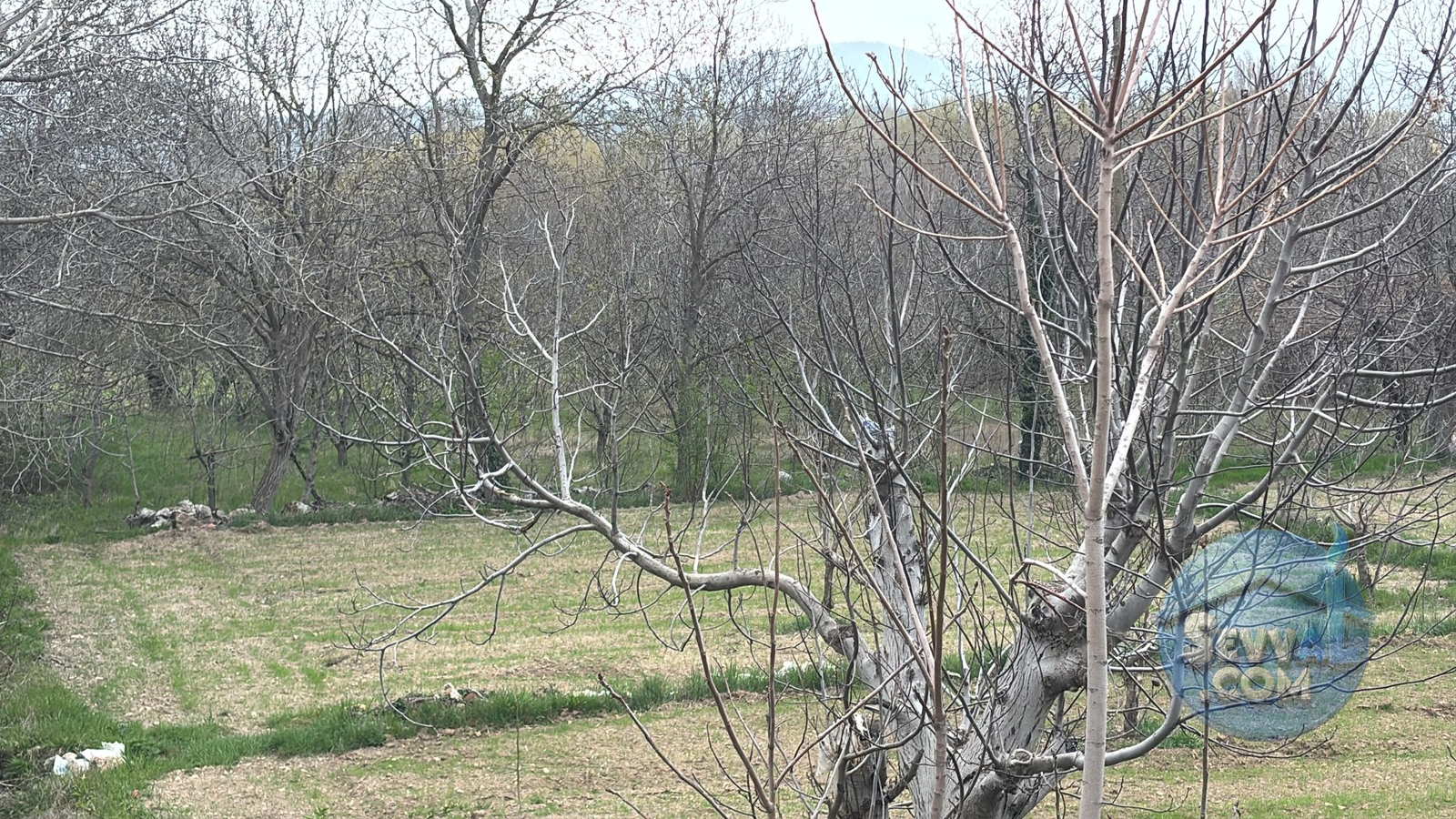 YEŞİLLİKLER DİYARI SUYUN CENNETİ YEŞİLBAŞKÖYDE SATILIK ARAZİ - Burdur Ağlasun fotoğraf 14
