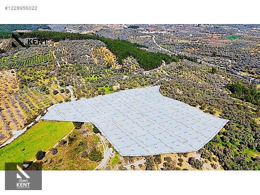 Kemalpaşa Vişneli Satılık 370 m2 Bahçe Elektrik Su Yol - İZMİR KEMALPAŞA fotoğraf 43
