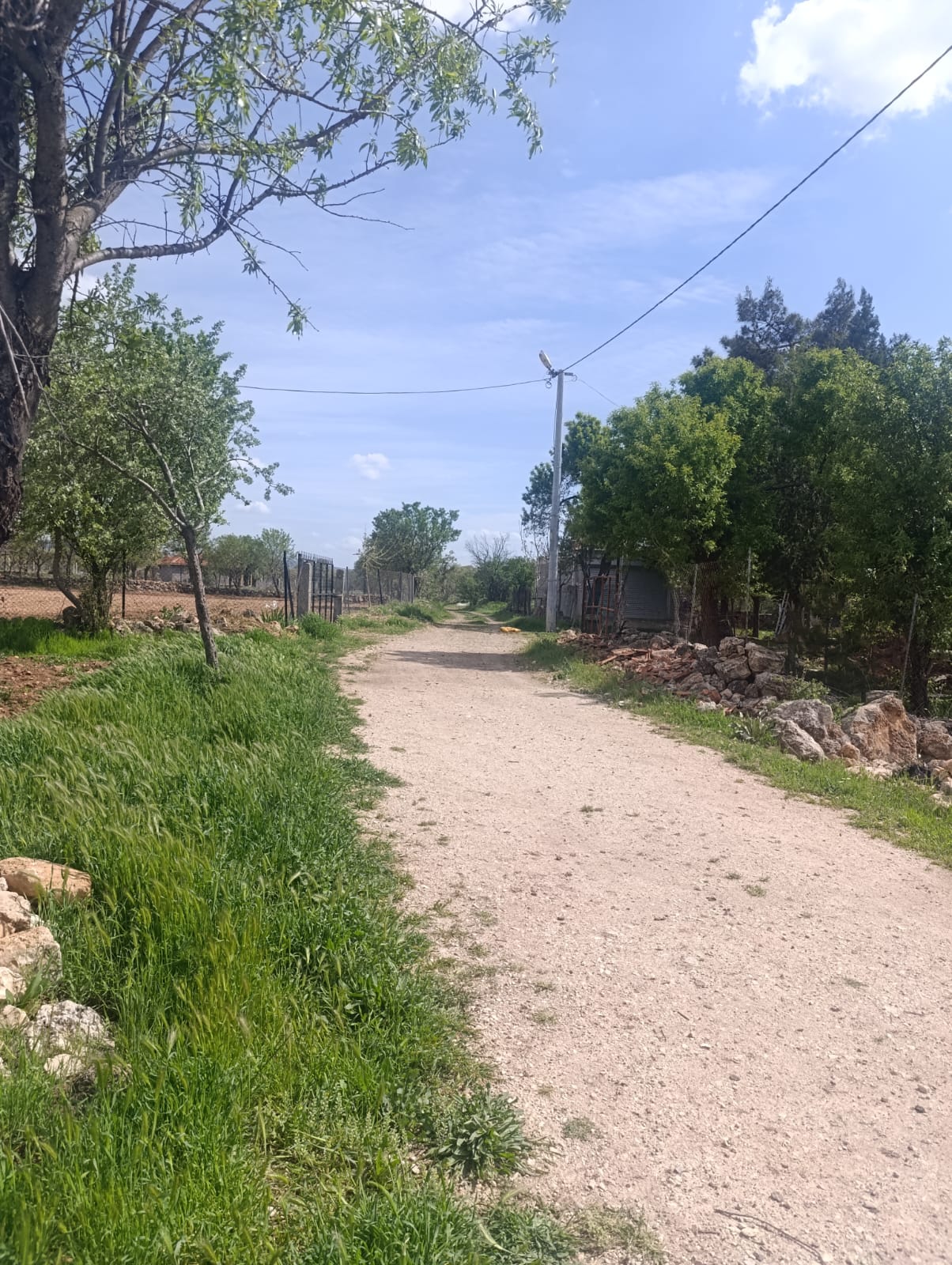 UŞAK KARAHALLI ÇOKAKLI KÖYÜNDE 616M² TARLAMIZ SATILIKTIR  - UŞAK EŞME fotoğraf 5