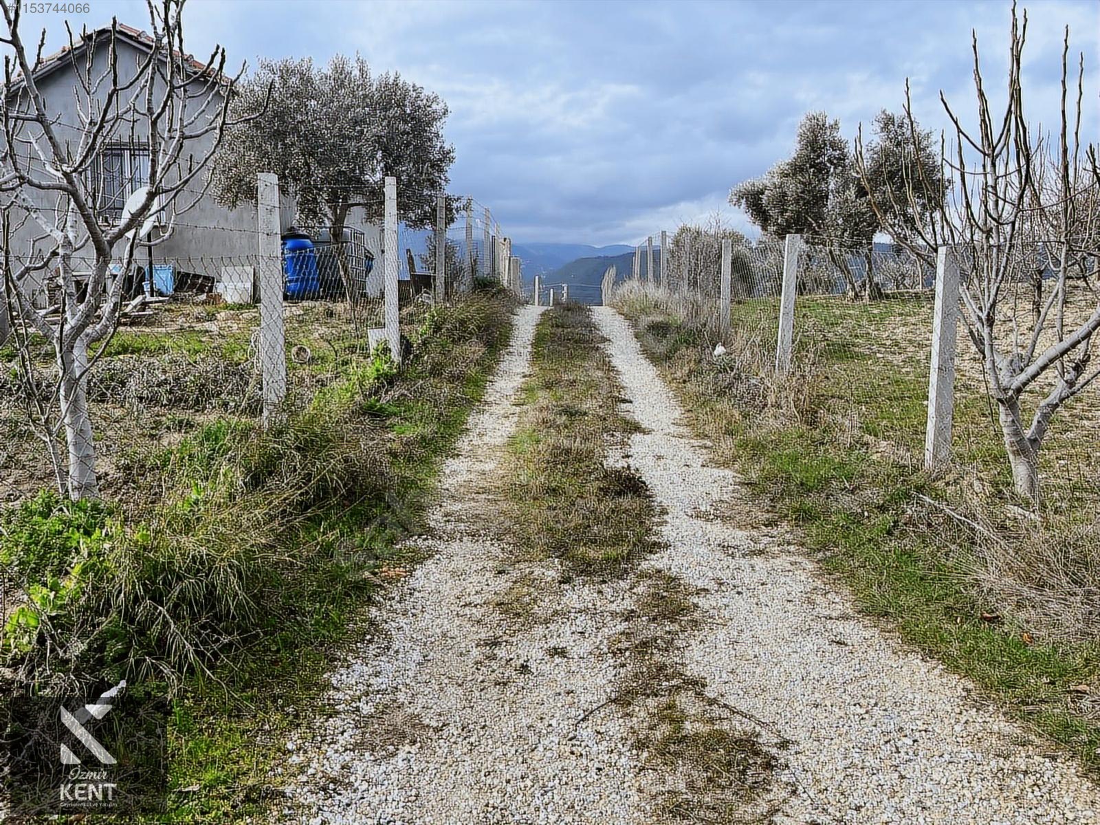 Kemalpaşa Gökyaka Satılık 2700 m2 Bahçe - İZMİR KEMALPAŞA fotoğraf 5