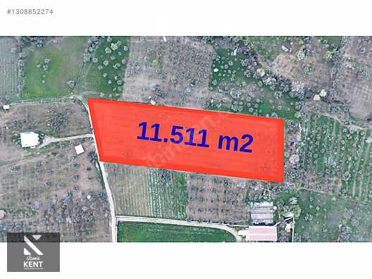 Kemalpaşa Gökyaka Satılık 11.511 m2 Bağ - İZMİR KEMALPAŞA fotoğraf 30