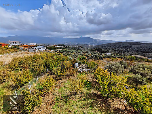 Kemalpaşa Vişneli Satılık 2920 m2 Dubleks Konut Ve Arsa - İZMİR KEMALPAŞA fotoğraf 18