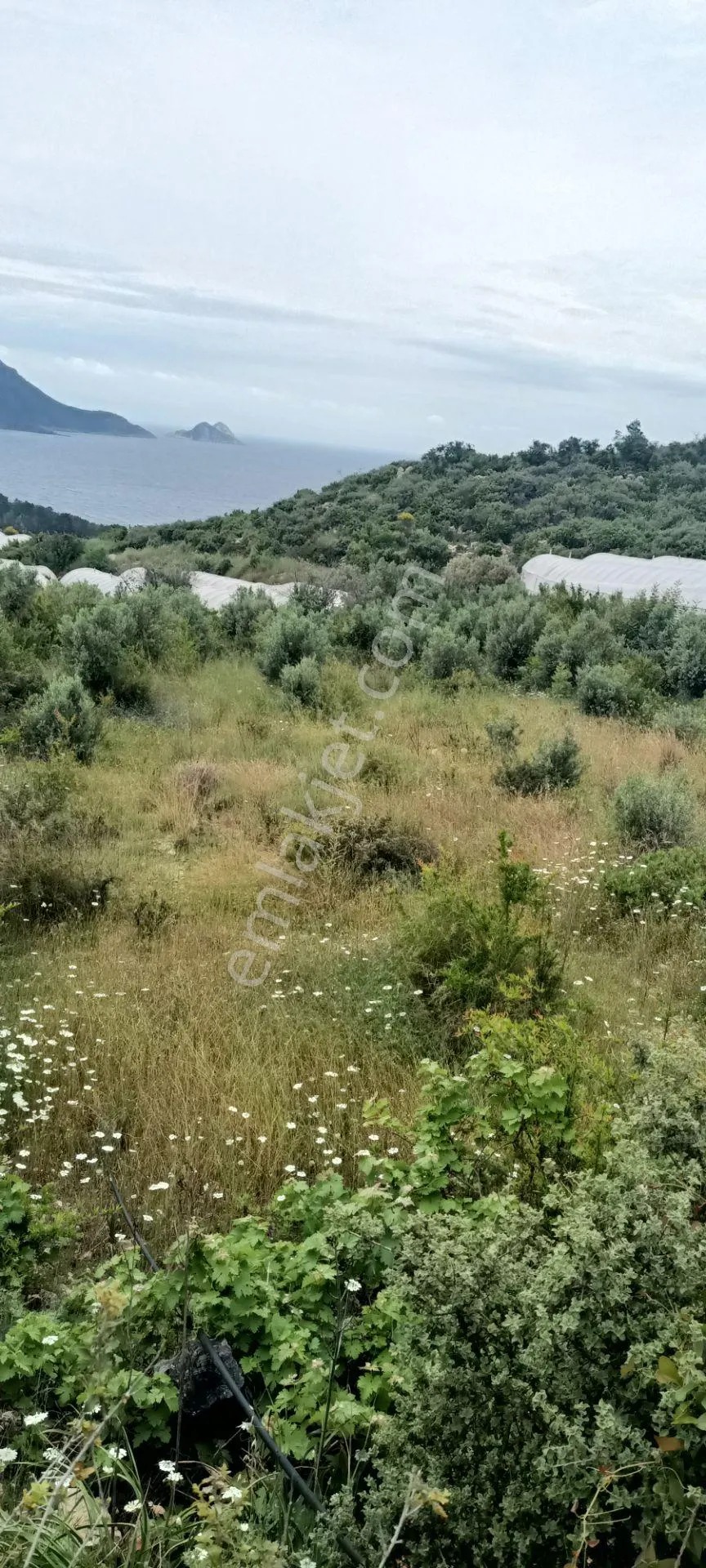 Kumluca Yenicepınar Da Deniz Manzaralı Satılık Arsa-tarla - ANTALYA KUMLUCA fotoğraf 21