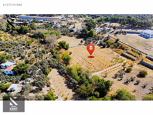 Kemalpaşa Nazarköy Satılık 9501m2 Bahçe - İZMİR KEMALPAŞA fotoğraf 12