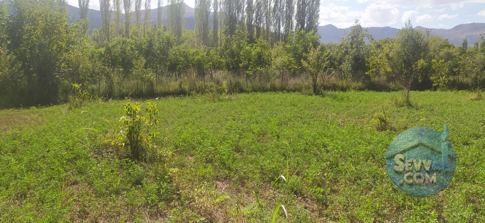 ASYA EVİM EMLAKTAN AĞLASUN KUM MAH DE FIRSAT HOBİ BAHÇESİ - Burdur Ağlasun fotoğraf 18