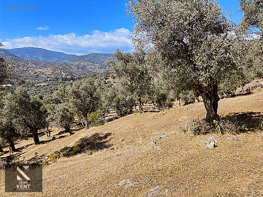 Bayındır Yusuflu Satılık 6050 m2 Zeytinlik Tek Tapu - İZMİR BAYINDIR fotoğraf 45