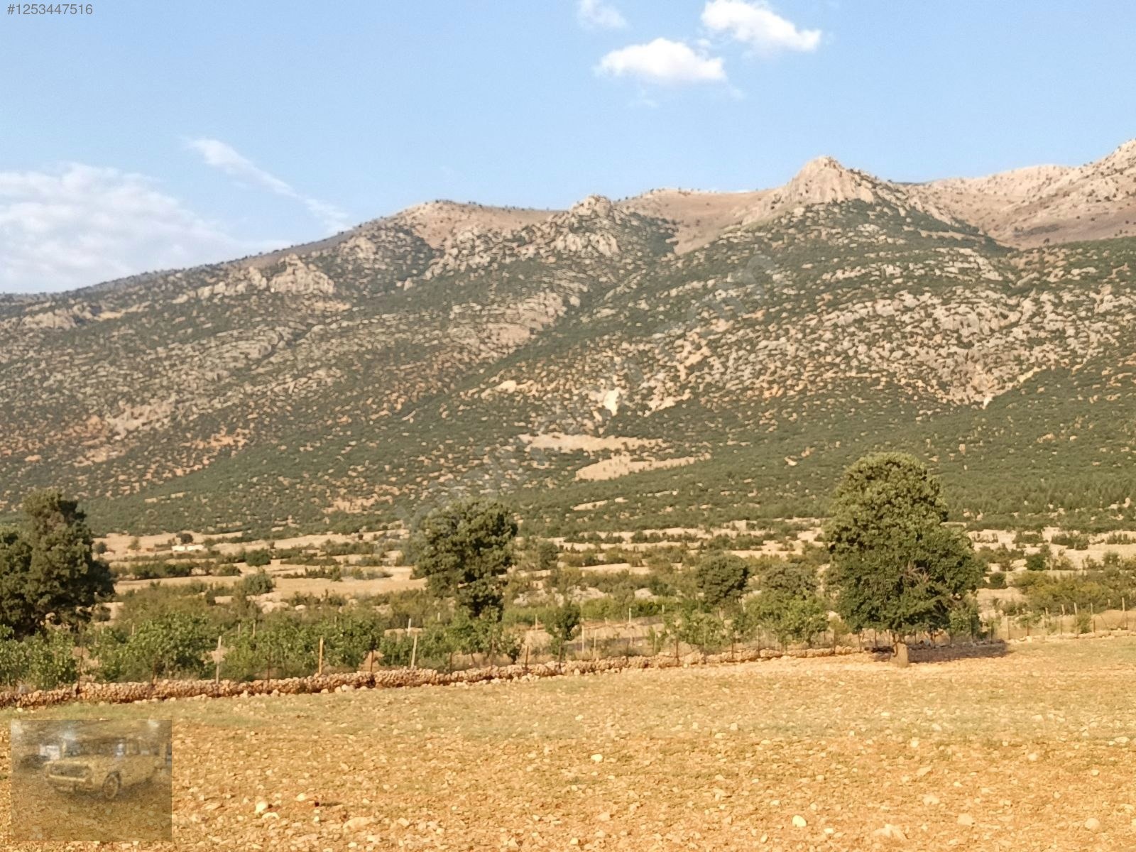 acil !korkuteli'de Yazıra komşu İmecikte 1883m mahalle yanında - ANTALYA KORKUTELİ fotoğraf 32