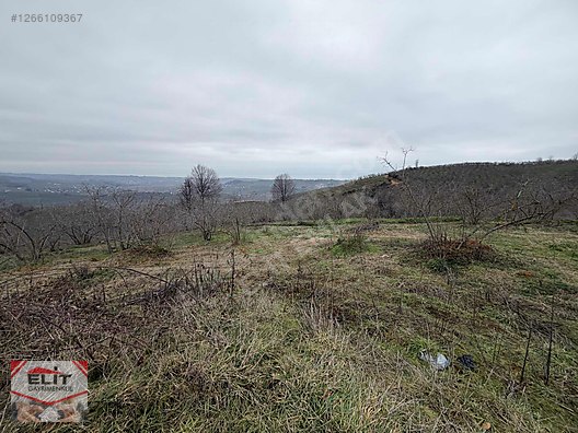 DÜZCE AKÇAKOCA DA EV YAPIMINA UYGUN SATILIK 7.768 M2 FINDIKLIK - DÜZCE AKÇAKOCA fotoğraf 17