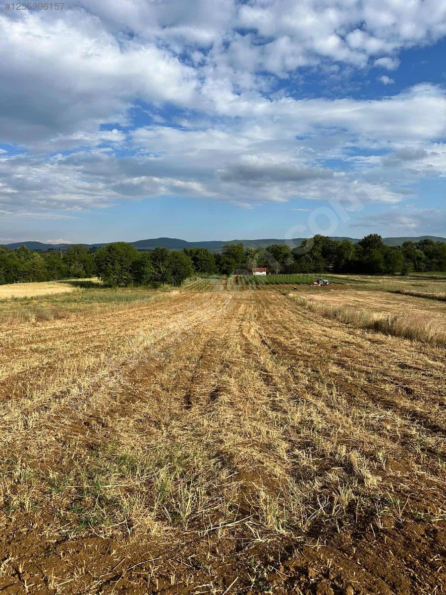 BİLECİK PAZARYERİ DEREKÖY KÖYÜ 1.875M² TARLAMIZ SATILIK  