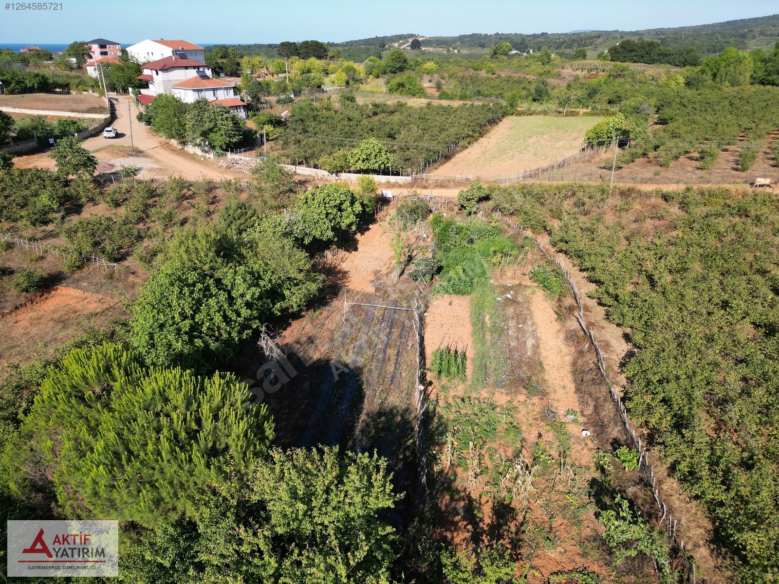 BAĞIRGANLI'DA KÖYÜN HEMEN BİTİŞİĞİNDE 647 M2 YOLA CEPHELİ TARLA - KOCAELİ KANDIRA fotoğraf 3