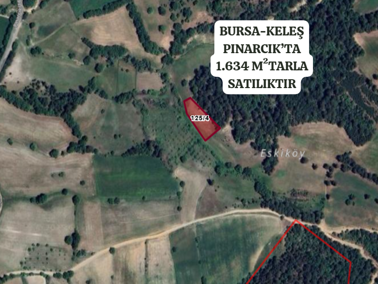 BURSA KELEŞ PINARCIK'TA 1.634  M² TARLA SATILIKTIR. - BURSA KELES fotoğraf 2