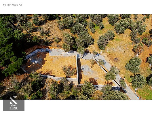 Kemalpaşa Sütçüler Satılık 873 m2 Zeytinlik - İZMİR KEMALPAŞA fotoğraf 25