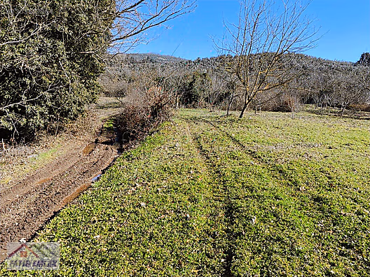 GEMLİK MURATOBA KÖYÜ 1134m² İMARLI SATILIK BAHÇE - BURSA GEMLİK fotoğraf 2