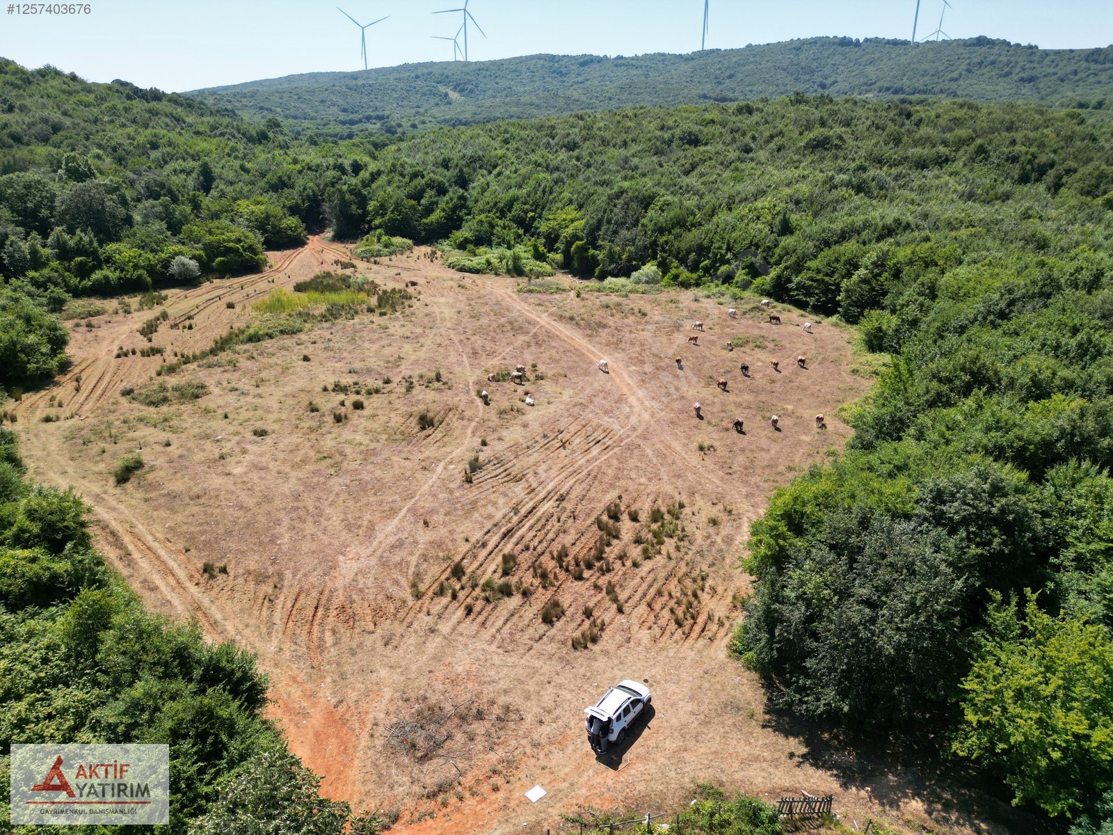 ORMANLA ÇEVRİLİ PLAJA YÜRÜME MESAFESİNDE 2118 M2 SATILIK HİSSE - KOCAELİ KANDIRA fotoğraf 6