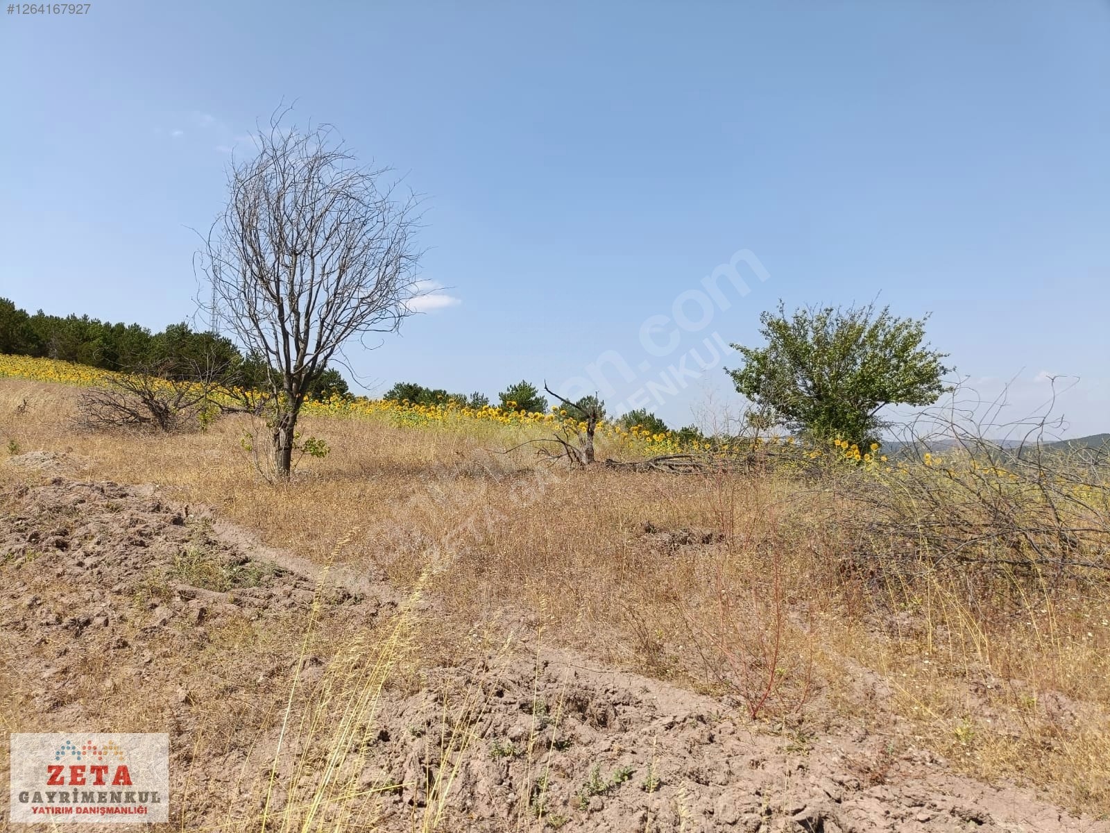 Bilecik Karaahmetler'de Yatırımlık 23.460 m² Satılık Tarla - BİLECİK GÖLPAZARI fotoğraf 9