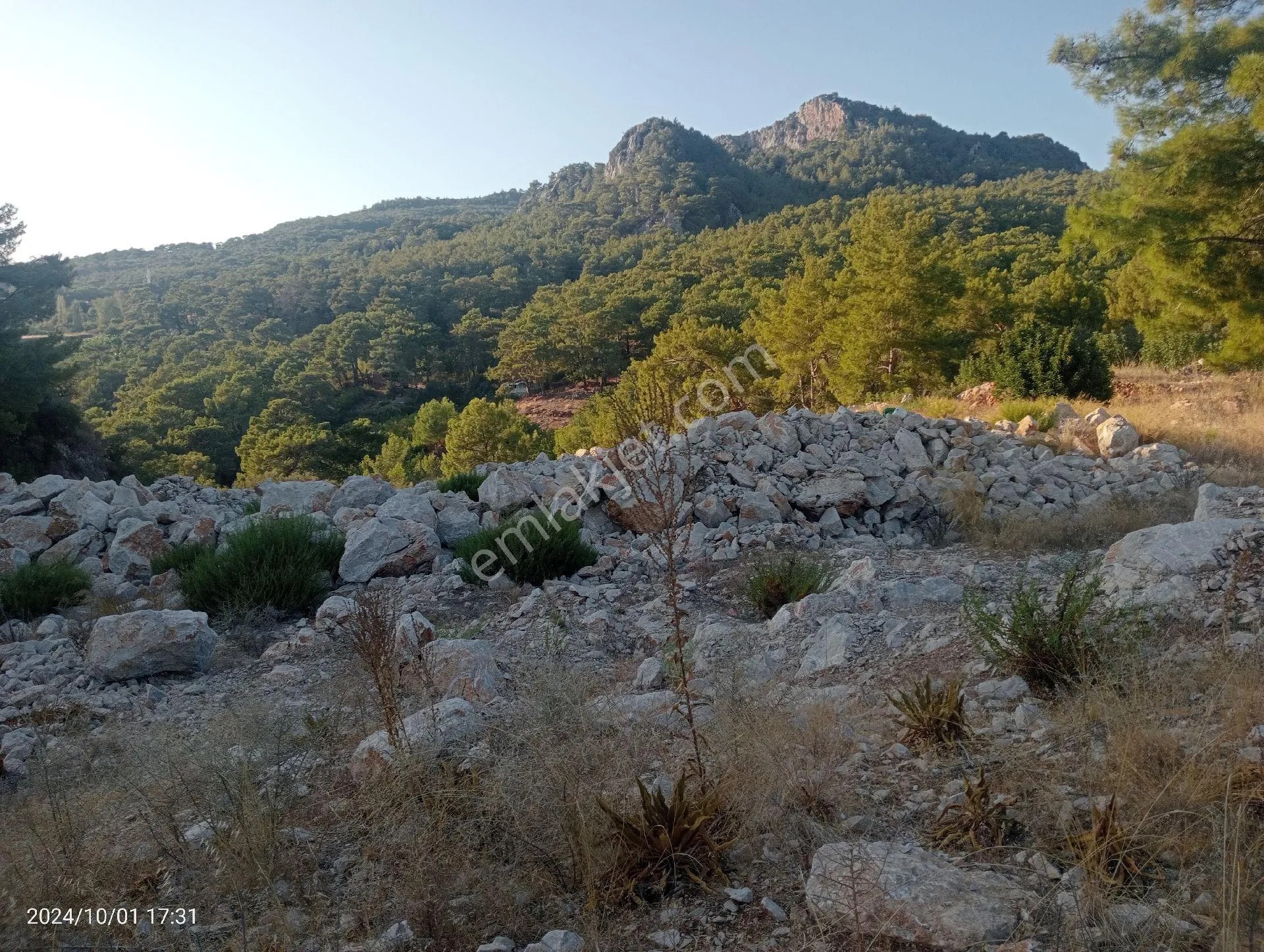 Antalya Kumluca Mavikent'te Satılık Tarla İnceoğlu Emlak - ANTALYA KUMLUCA fotoğraf 8