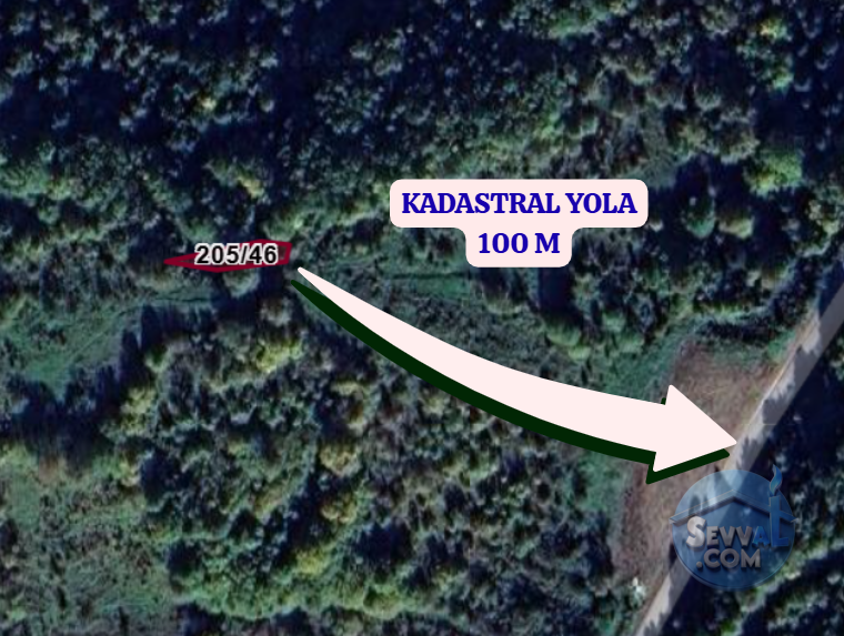SİNOP GERZE KİRENÇUKURU  KÖYÜNDE  137 M²  TARLA  SATILIKTIR - SİNOP GERZE fotoğraf 4