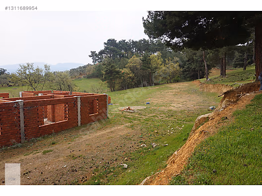 ÇANAKKALE BAYRAMİÇ DALOBA KÖYÜ 4781 m2 TARLA - ÇANAKKALE BAYRAMİÇ fotoğraf 8