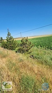 🚨 KÜTAHYA'DA ANAYOLA CEPHELİ 6.152 M² VERİMLİ TARLA 🚨 - KÜTAHYA MERKEZ fotoğraf 42