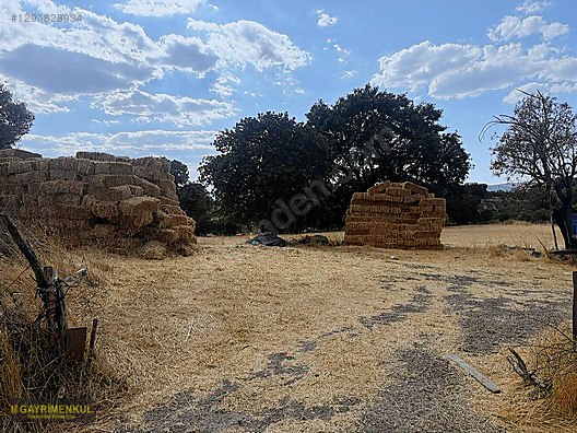 SAVAŞTEPE KARACALARDA OTURUMLUK YATIRIMLIK DÜMDÜZ 11 DÖNÜM MÜLK - BALIKESİR SAVAŞTEPE fotoğraf 11