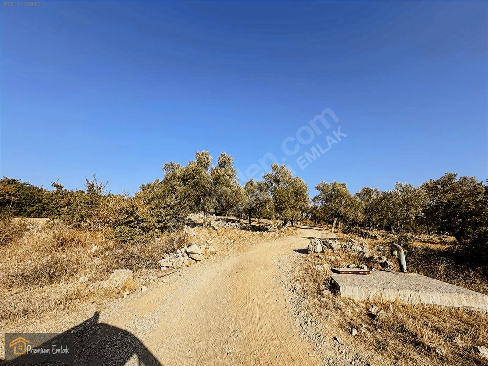 MİLAS KARACAHİSAR MAH.SU ELEKT YOLA SIFIR 10.754mt SATILIK TARLA - MUĞLA MİLAS fotoğraf 13