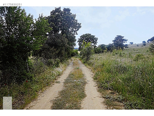 ÇANAKKALE BAYRAMİÇ MURATLAR KÖYÜ 45.000 m2 TARLA - ÇANAKKALE BAYRAMİÇ fotoğraf 33